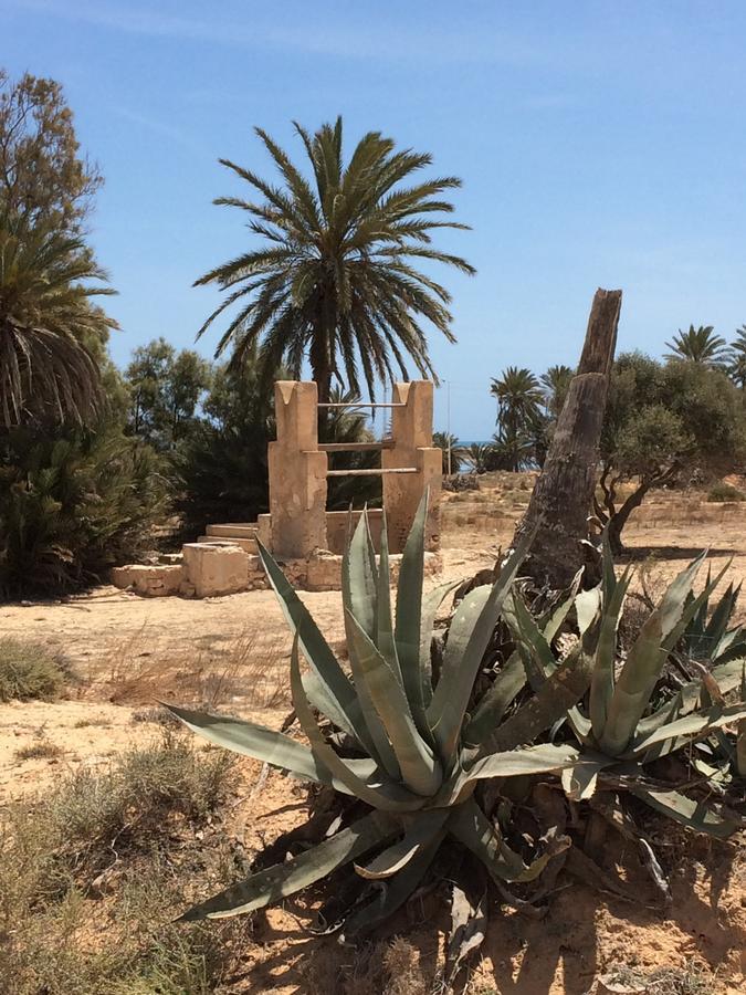 Dar Jasmin Djerba Bed & Breakfast Temlale ภายนอก รูปภาพ