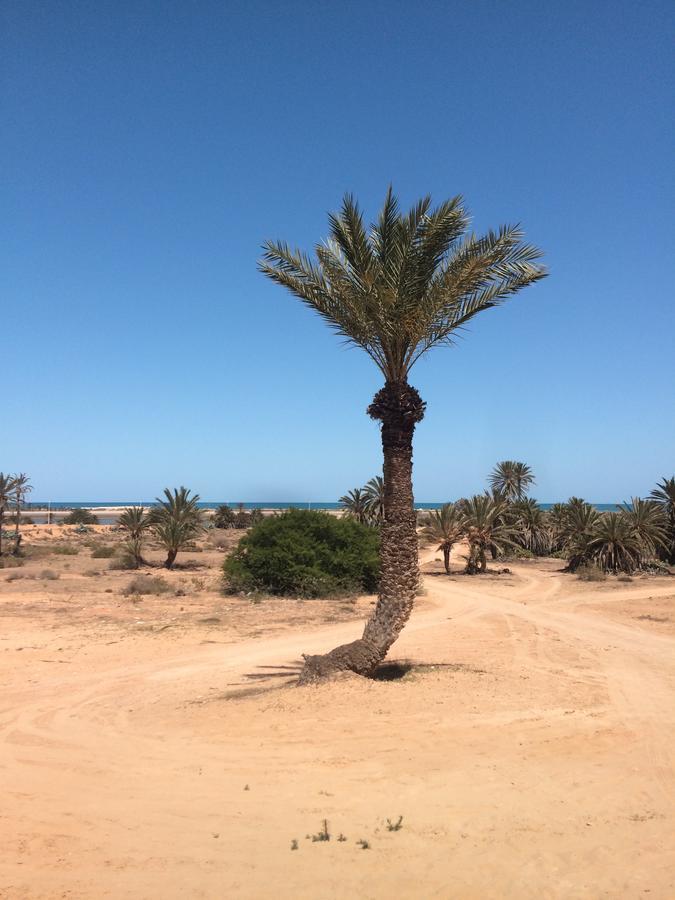 Dar Jasmin Djerba Bed & Breakfast Temlale ภายนอก รูปภาพ