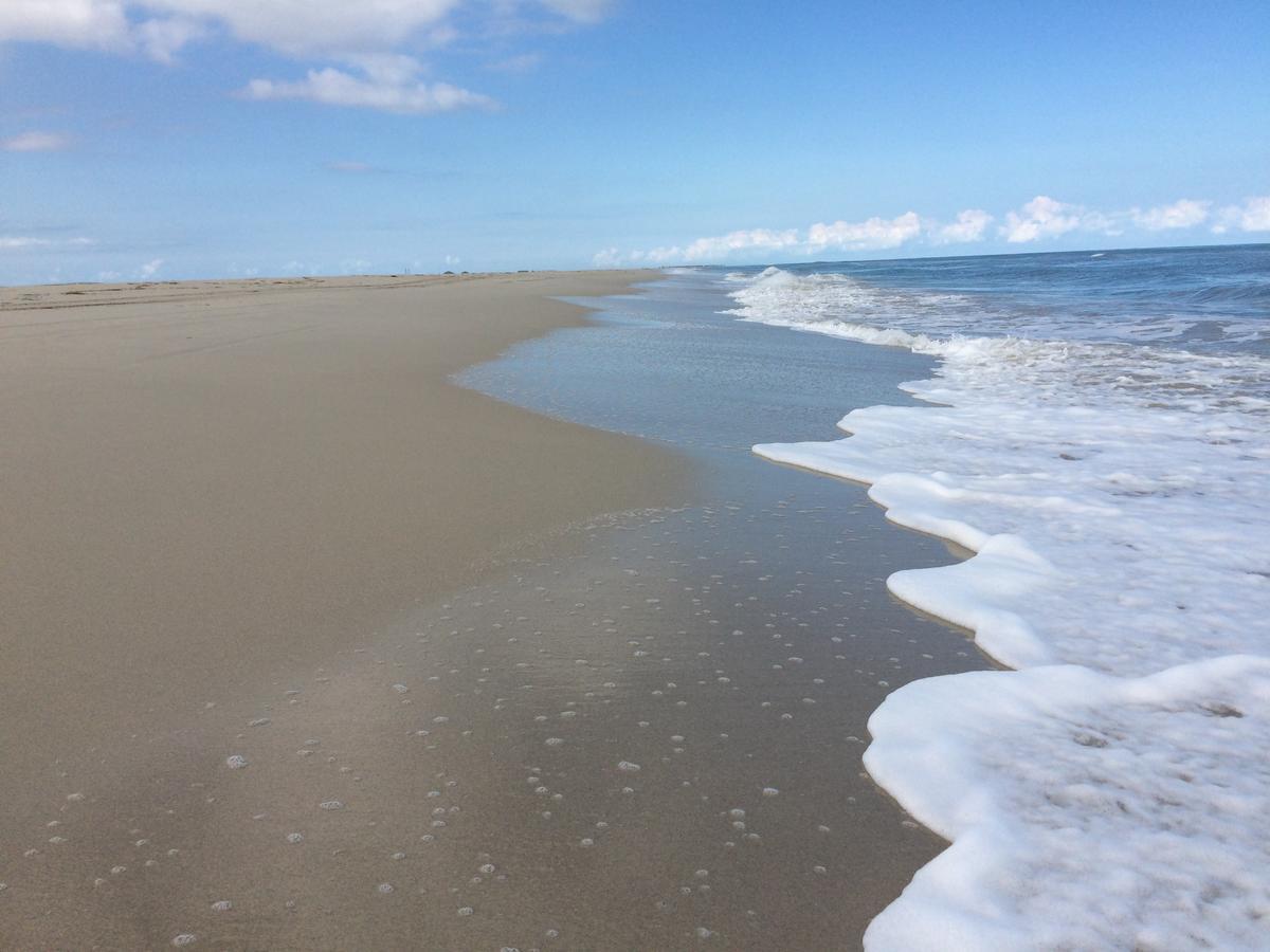 Dar Jasmin Djerba Bed & Breakfast Temlale ภายนอก รูปภาพ