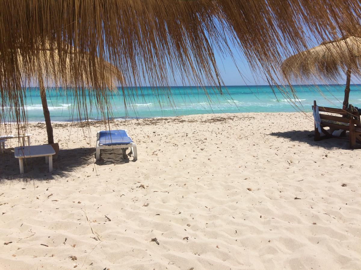 Dar Jasmin Djerba Bed & Breakfast Temlale ภายนอก รูปภาพ
